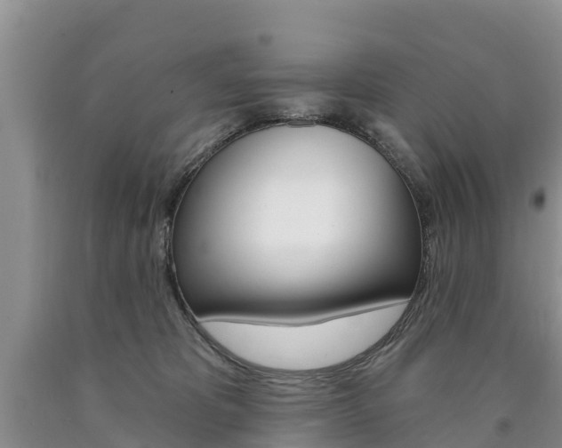 X0000090870325200707271000
