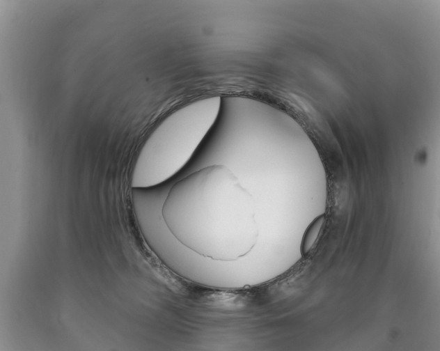 X0000090870326200707271000
