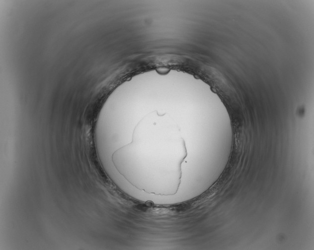 X0000090870327200707271000