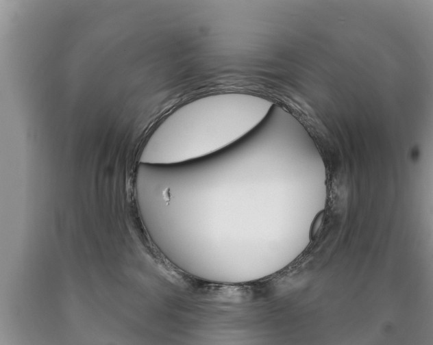 X0000090870330200707271000
