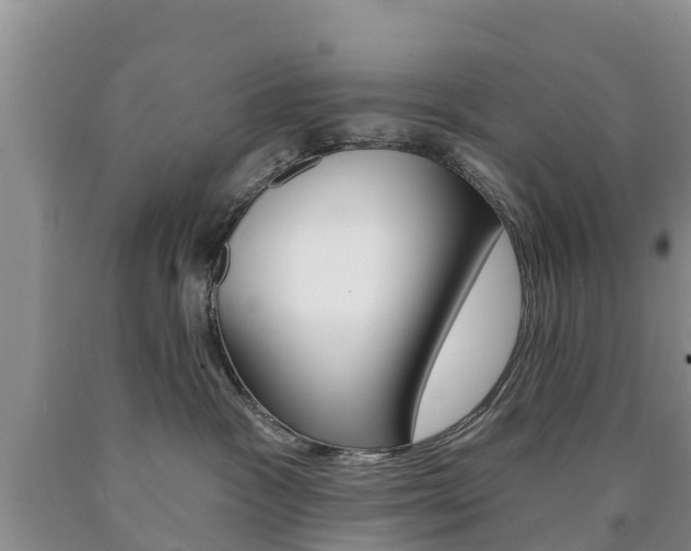 X0000090870333200707271000