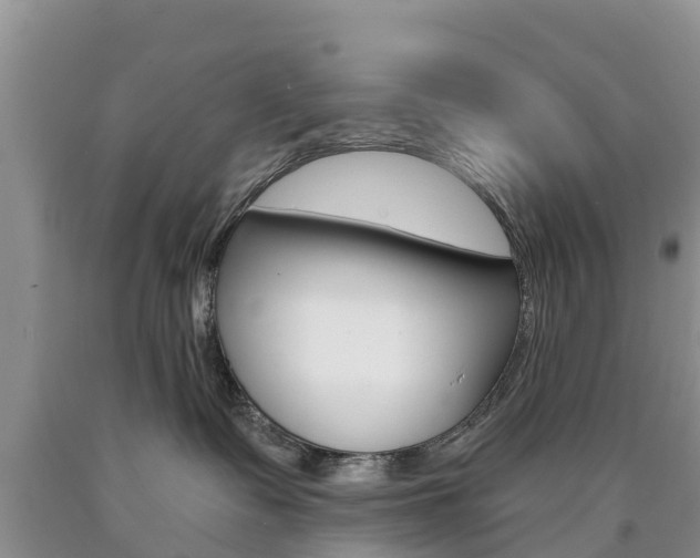 X0000090870335200707271000