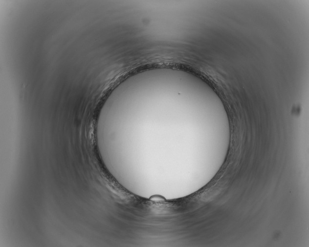 X0000090870336200707271000