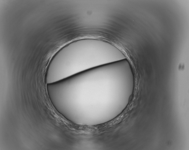 X0000090870337200707270959