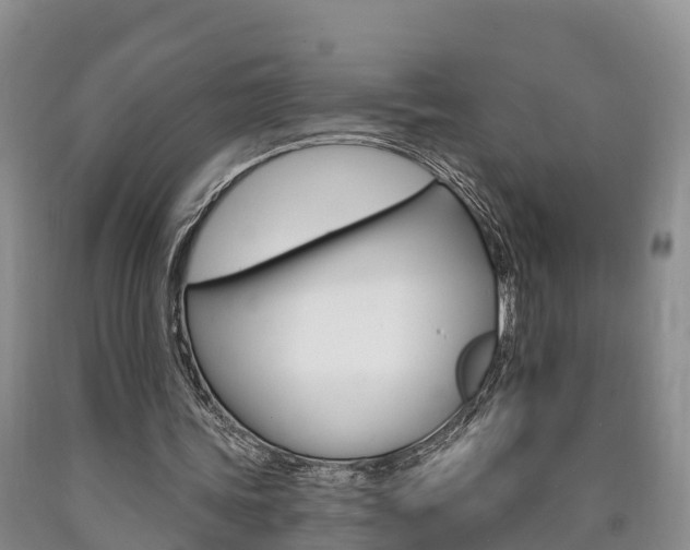 X0000090870339200707270959
