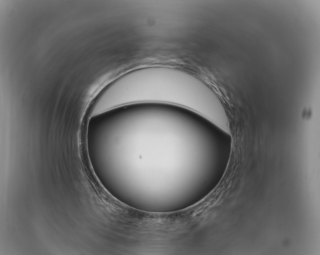 X0000090870340200707270959