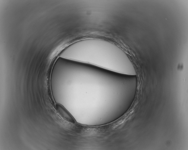 X0000090870341200707270959