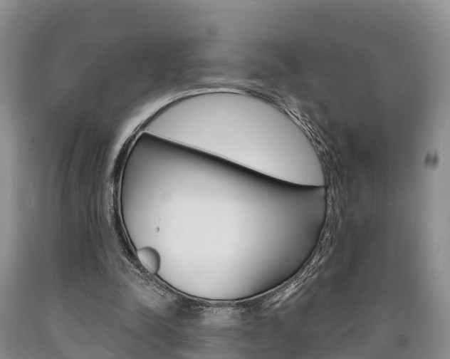 X0000090870342200707270959
