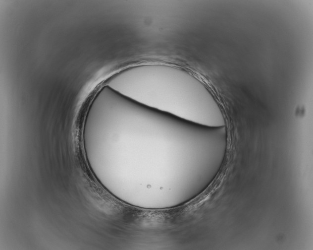 X0000090870343200707270959