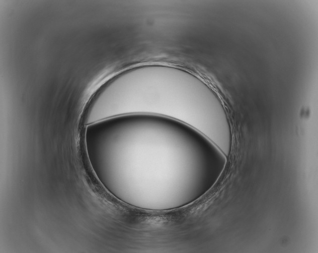 X0000090870344200707270959