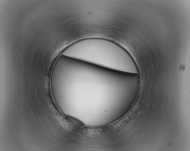 X0000090870345200707271000