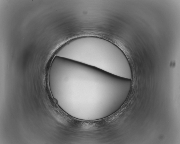 X0000090870346200707271000