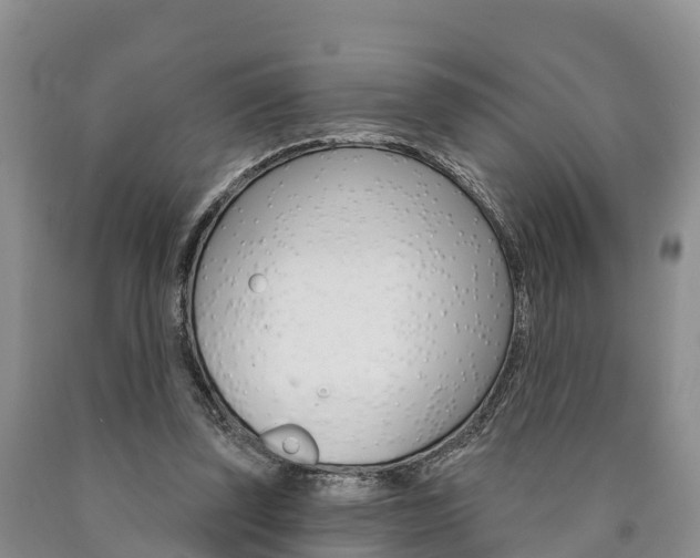 X0000090870347200707271000