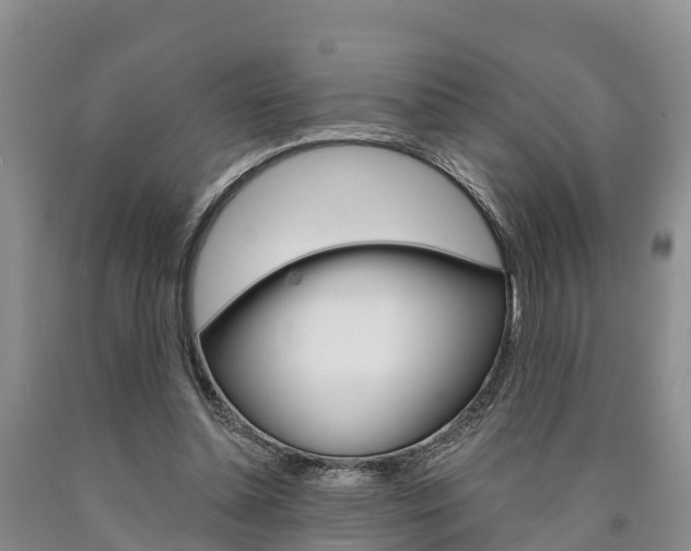 X0000090870348200707271000