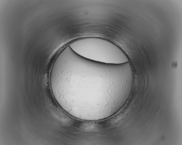 X0000090870351200707271000