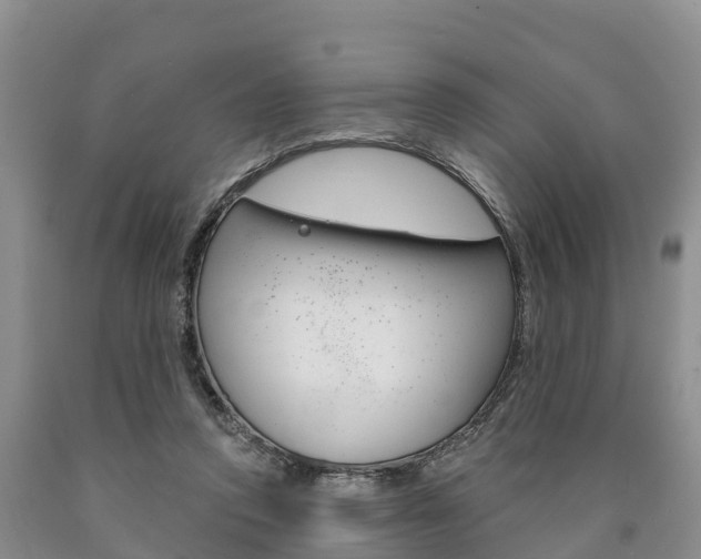 X0000090870354200707271000