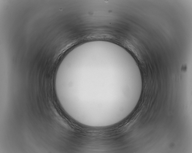 X0000090870356200707271000