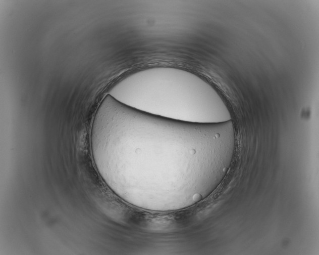 X0000090870359200707271000