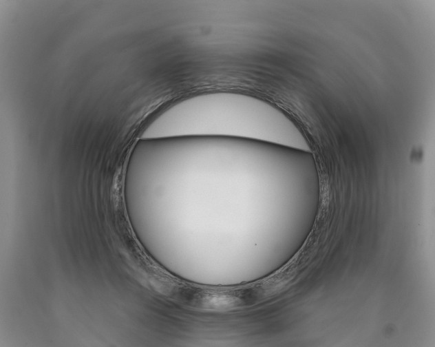 X0000090870360200707271000