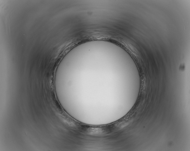 X0000090870361200707271000