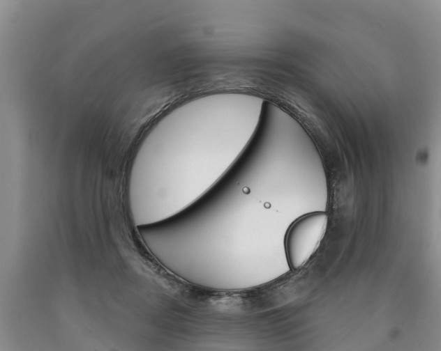 X0000090870362200707271000