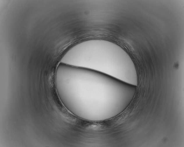 X0000090870364200707271000