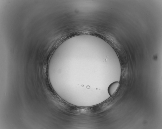X0000090870365200707271000