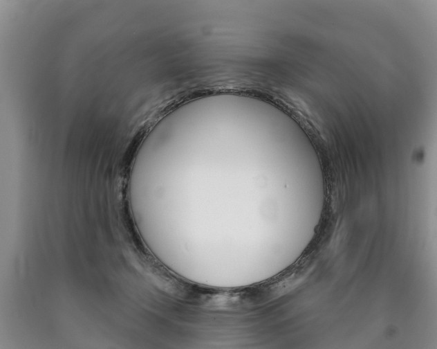 X0000090870366200707271000
