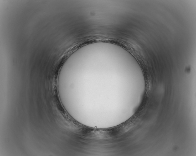 X0000090870367200707271000