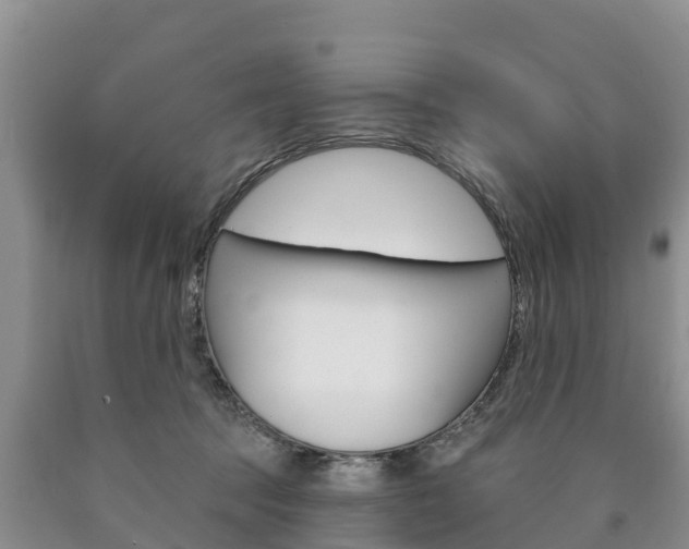 X0000090870369200707271000