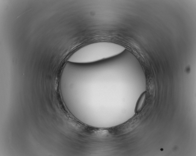 X0000090870374200707271000