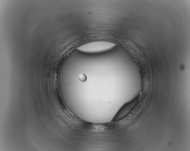 X0000090870376200707271000