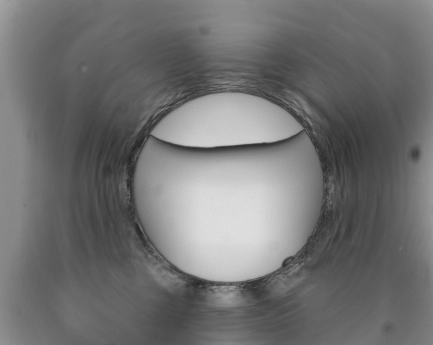 X0000090870377200707271000