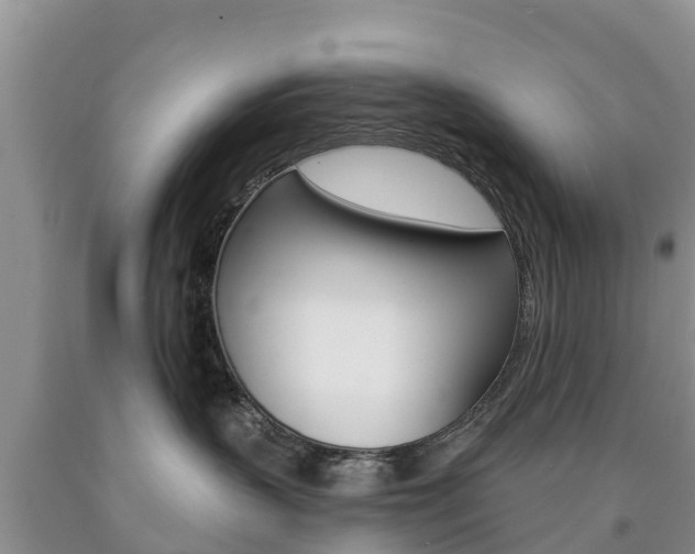 X0000090870383200707271000