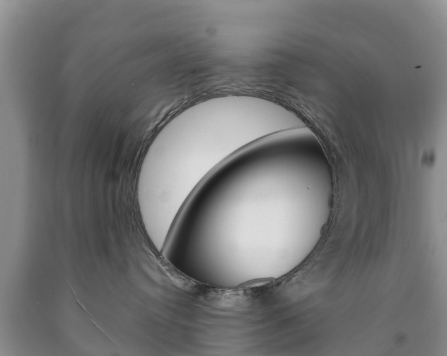 X0000090870384200707271000