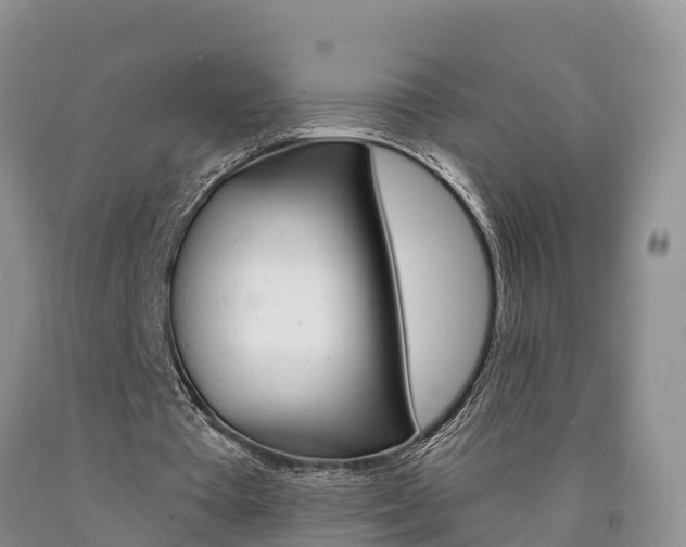 X0000090870385200707270959