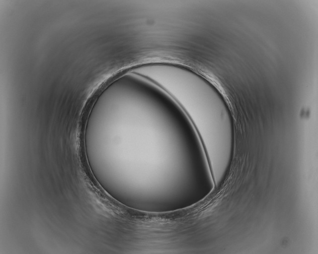 X0000090870387200707270959