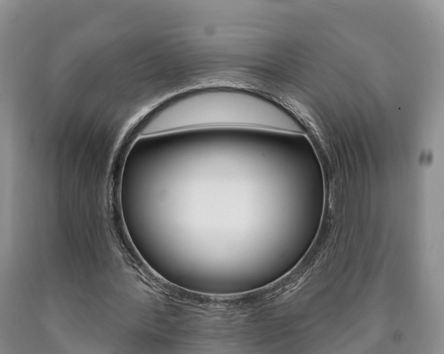 X0000090870388200707270959