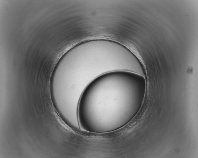 X0000090870389200707270959