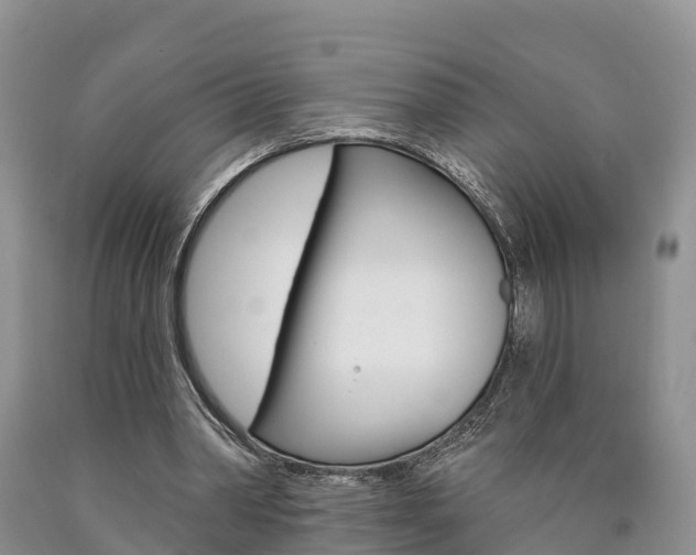 X0000090870390200707270959