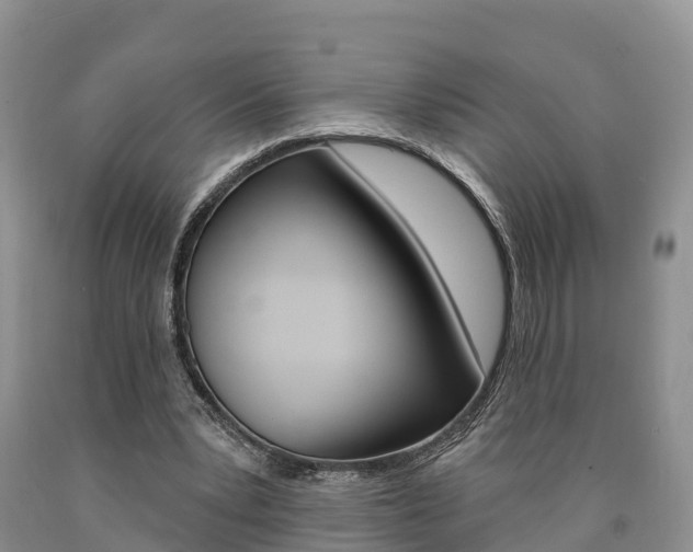 X0000090870391200707270959