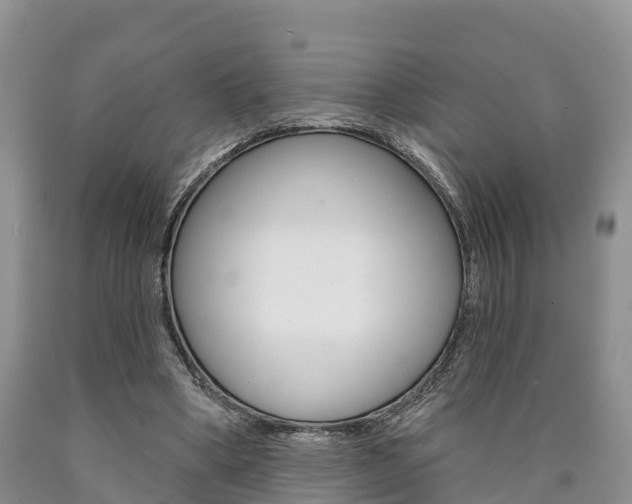 X0000090870394200707270959
