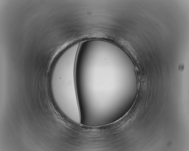 X0000090870395200707270959