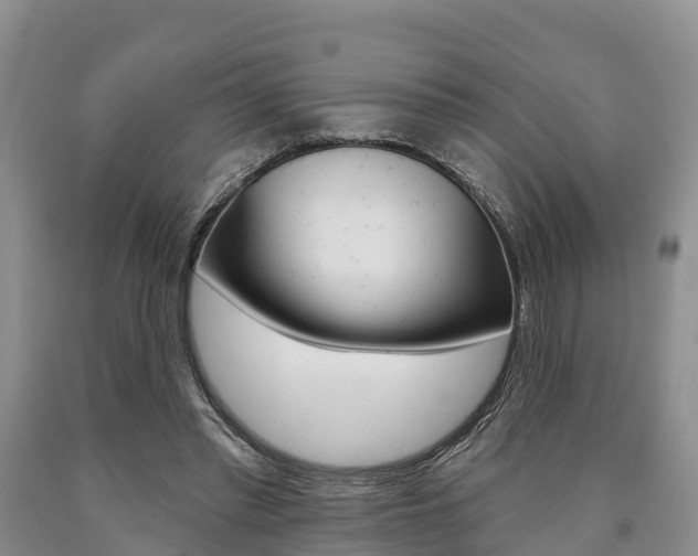 X0000090870397200707270959