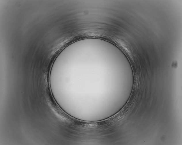 X0000090870398200707270959