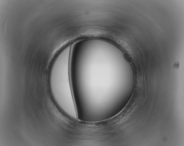X0000090870399200707270959
