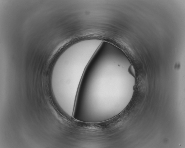 X0000090870400200707270959