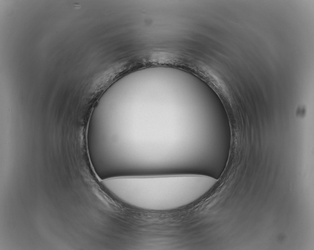 X0000090870401200707270959