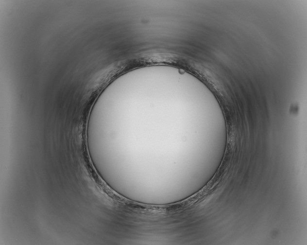 X0000090870402200707270959