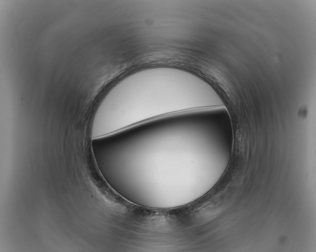 X0000090870404200707270959
